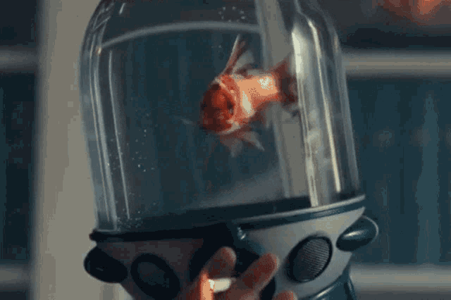 a fish is swimming in an aquarium with a space helmet on it