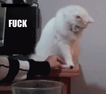 Fuck That GIF - Cat Angry Hate GIFs