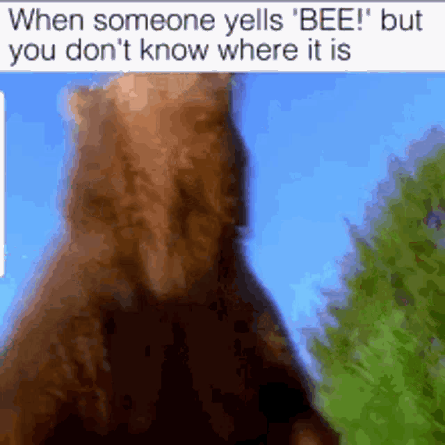 Lol Bees GIF - Lol Bees GIFs