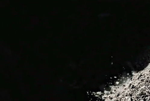 a pile of white powder is being thrown on a black background .