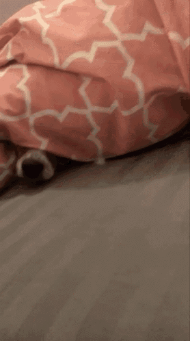 a dog is laying under a pink and white blanket on a bed