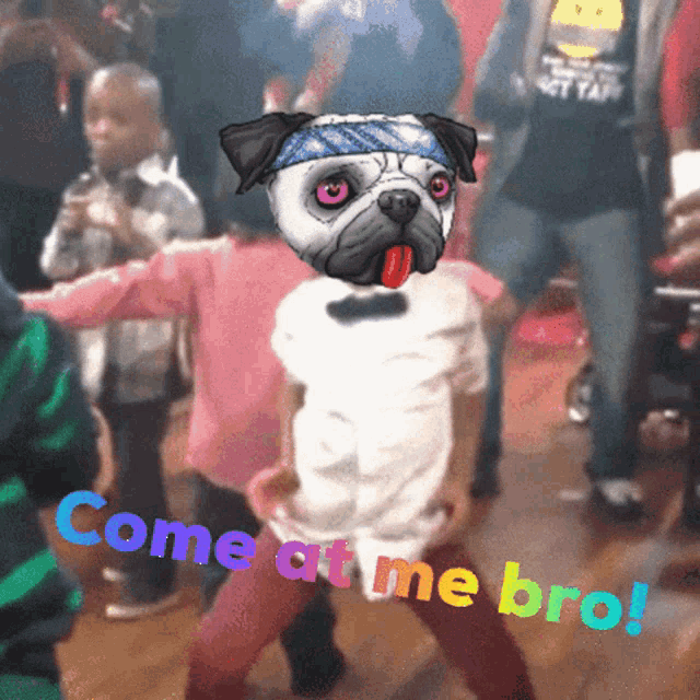 a pug with a bandana on its head is dancing with the words come at me bro below it