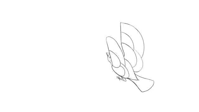 a black and white drawing of a bird flying with its wings outstretched