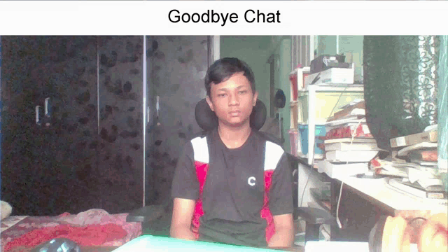 Stavros Goodbye Chat GIF