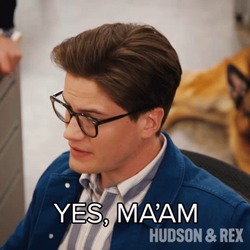 Yes Maam Jesse Mills GIF - Yes Maam Jesse Mills Hudson And Rex GIFs