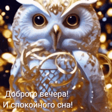 a white owl with gold ribbons around its neck and the words " доброго вечера и спокойного сна " below it