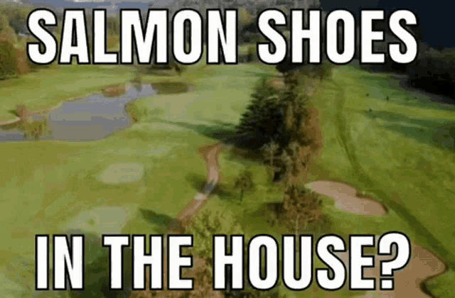 Salmon Shoes GIF - Salmon Shoes In GIFs