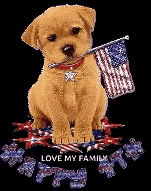 a puppy is holding an american flag in its mouth while sitting on top of an american flag .
