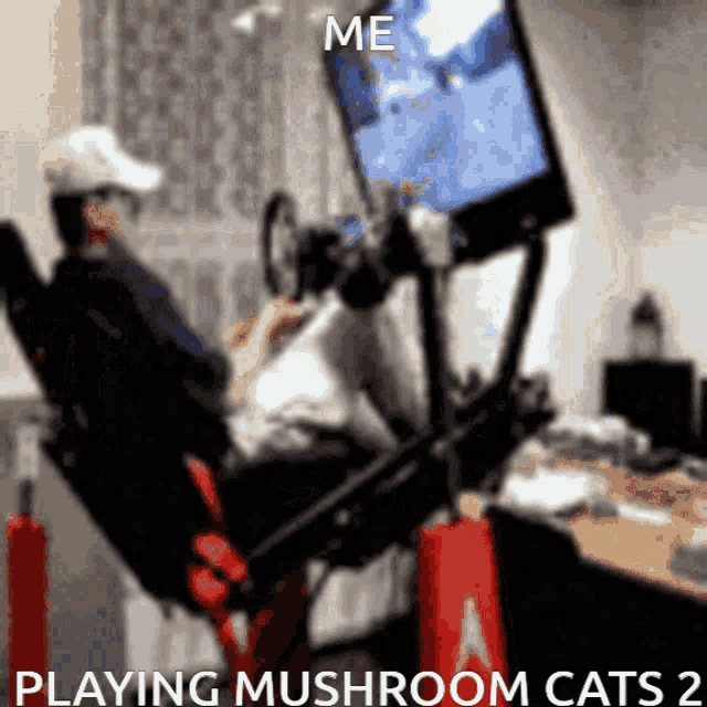 Mushroom Cats GIF