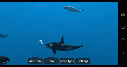 Ocean Whale GIF - Ocean Whale Swim GIFs