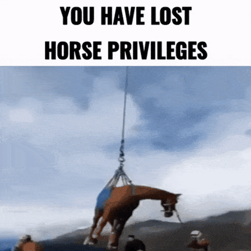 a horse is being lifted by a crane with the words `` you have lost horse privileges '' written above it .