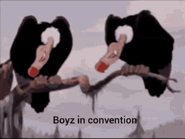Boyz In Convention Convention Boys GIF - Boyz In Convention Convention Boys Gypas GIFs