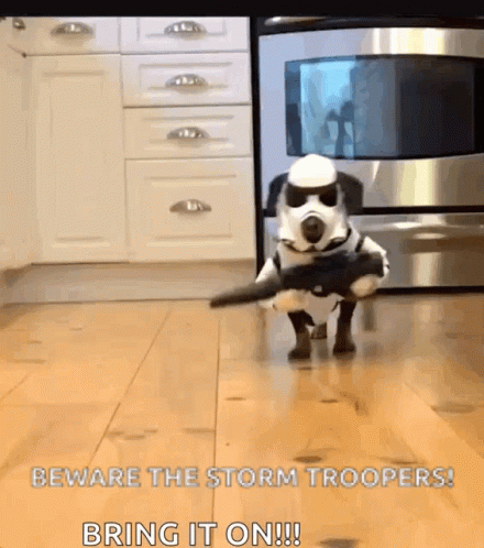 Dog Trooper Dogs GIF - Dog Trooper Dogs Cosplay GIFs