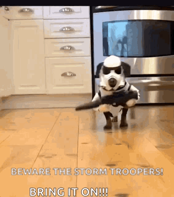 a dog dressed as storm trooper holding a gun