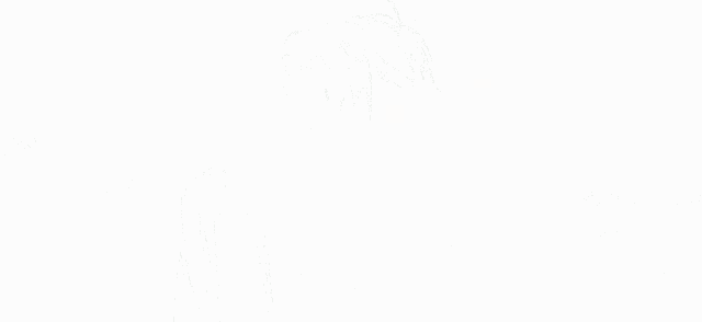 Shu Training GIF