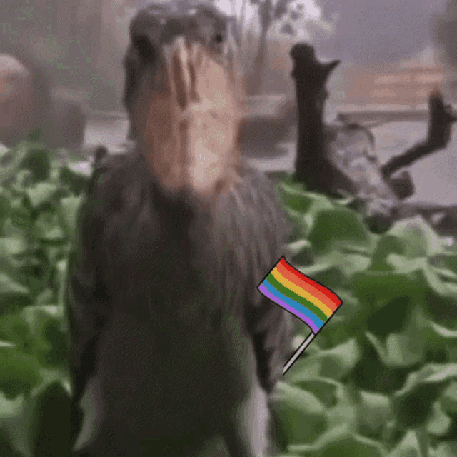 a bird with a rainbow flag on it 's arm