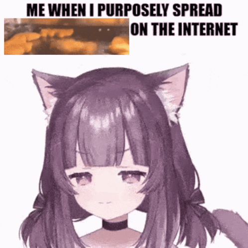 a picture of a cat girl with purple hair and cat ears with the caption me when i purposely spread on the internet
