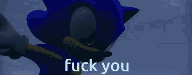 a picture of sonic the hedgehog with the words fuck you on the bottom