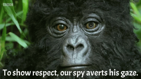 Spy Gorilla GIF - Spy Gorilla Robot GIFs