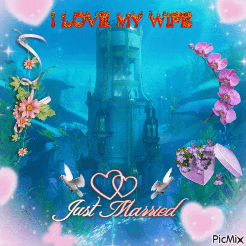 a picture that says i love my wife and just married
