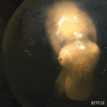 a close up of a jellyfish with the netflix logo in the corner