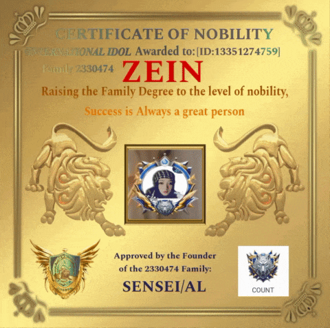 a certificate of nobility is awarded to zein for raising the family degree to the level of nobility success is always a great person