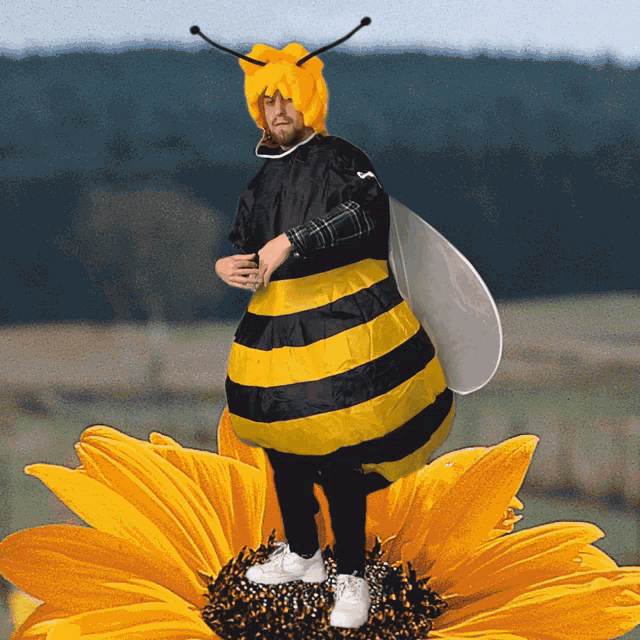 Bee Gröni GIF - Bee Gröni Black And Yellow GIFs