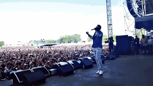 Performing Concert GIF - Performing Concert Crowed GIFs