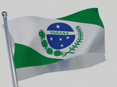 Paraná Paranáflag GIF - Paraná Paranáflag Curitiba GIFs