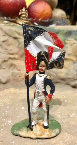 Flag Bearer Napoleonic Wars GIF - Flag Bearer Napoleonic Wars GIFs