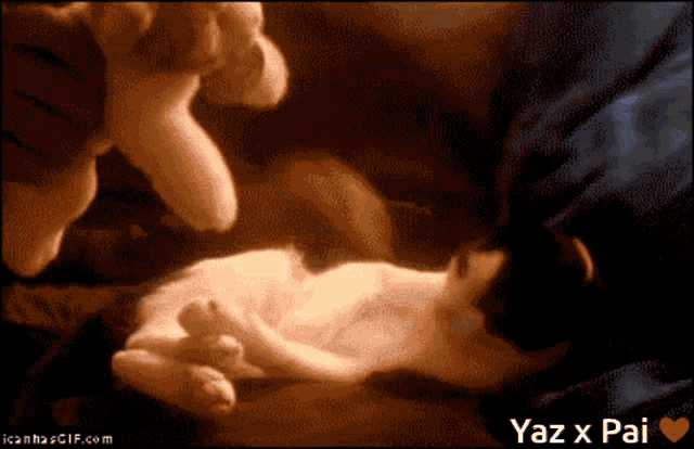 Yaz X Pai Stuffed Toy GIF - Yaz X Pai Stuffed Toy Cat GIFs