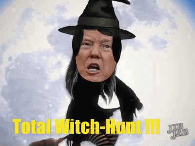 Witchhunt Trump GIF - Witchhunt Trump Donald GIFs