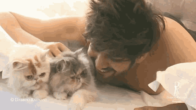 a man laying on a bed petting two cats with the name dabboo ratnani on the bottom