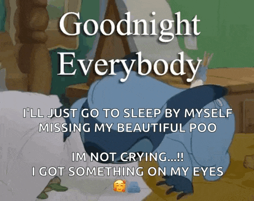 a cartoon of stitch saying goodnight everybody i 'll just go to sleep by myself