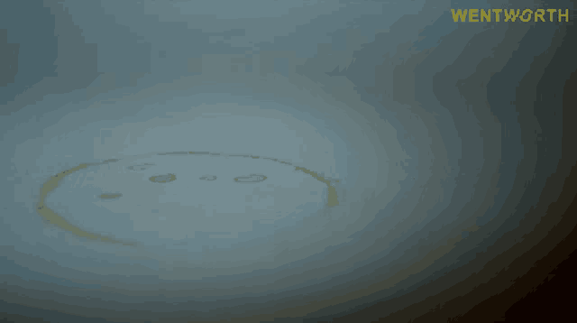 a picture of a circle with the word wentworth on it