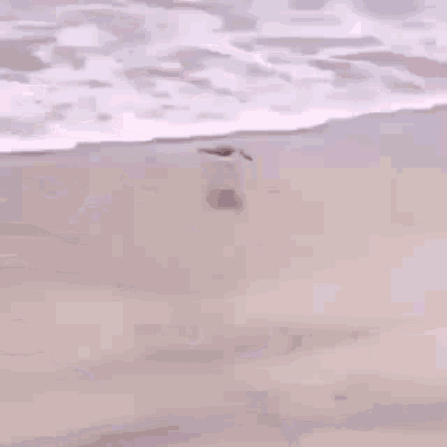 a person is standing on a beach looking at the waves .