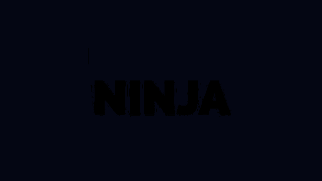Wallid Wallid Ninja GIF - Wallid Wallid Ninja Wallid Sparx GIFs
