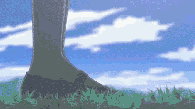 a person 's foot is standing in the grass with a cloudy sky in the background .