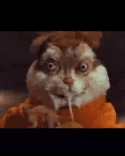a close up of a hamster 's face with a squirrel 's face coming out of its mouth .