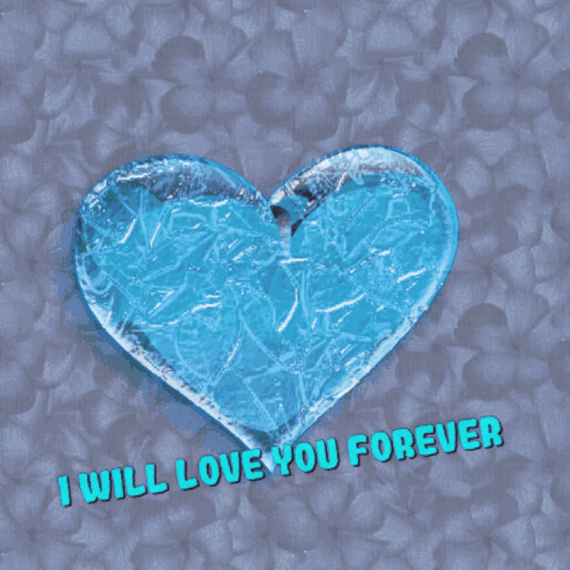 a picture of a man and a woman with the words " i will love you forever " below them