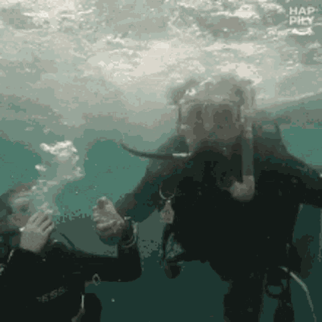 Swimming Underwater GIF - Swimming Underwater GIFs