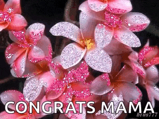 a bunch of pink flowers with the words `` congrats mama ''