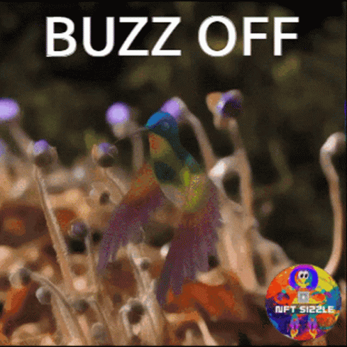 Buzz Off Go Away GIF - Buzz Off Go Away Leave Me Alone GIFs