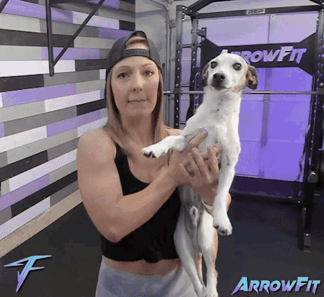 Arrowfit Doggo GIF - Arrowfit Arrow Doggo GIFs