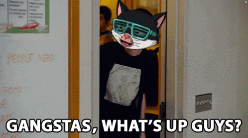 a cat wearing sunglasses and a shirt that says gangsta what 's up guys