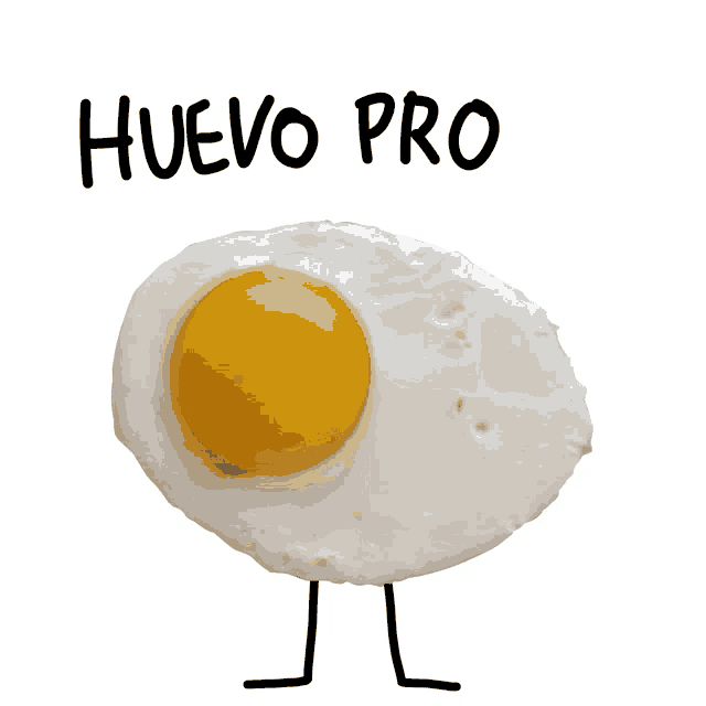 a fried egg with a yellow yolk and the word huevo pro above it