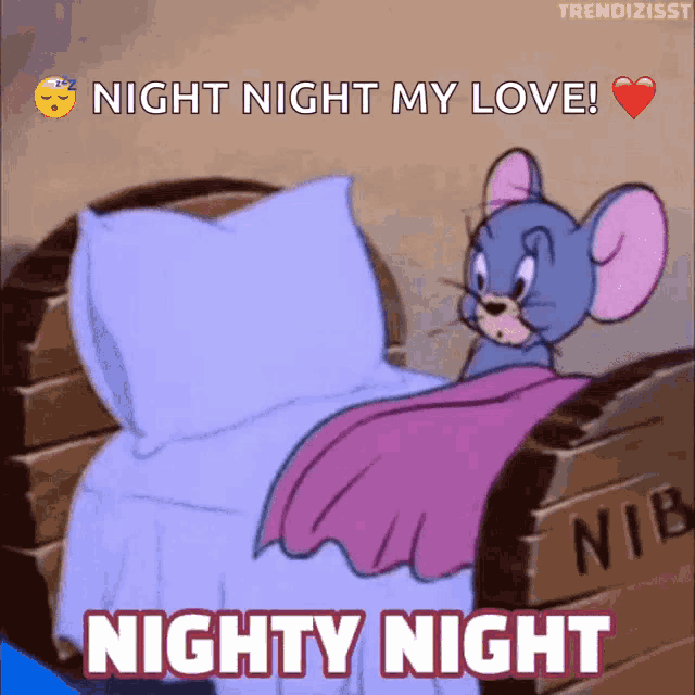 a cartoon mouse is laying in a bed with the words night night my love nighty night