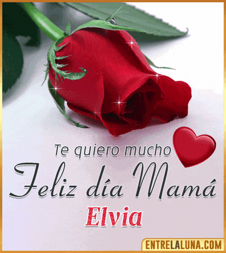 a red rose with the words te quiero mucho feliz dia mama elvia on it
