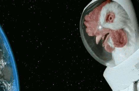 Space Force Chicken In Space Suit GIF - Space Force Chicken In Space Suit GIFs