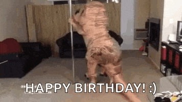 a dog in a t-rex costume is standing on a pole in a living room and saying happy birthday .